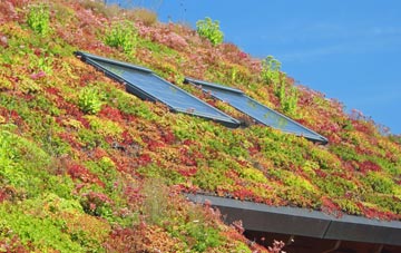 Manian Fawr living roof systems