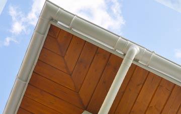 Manian Fawr soffit types